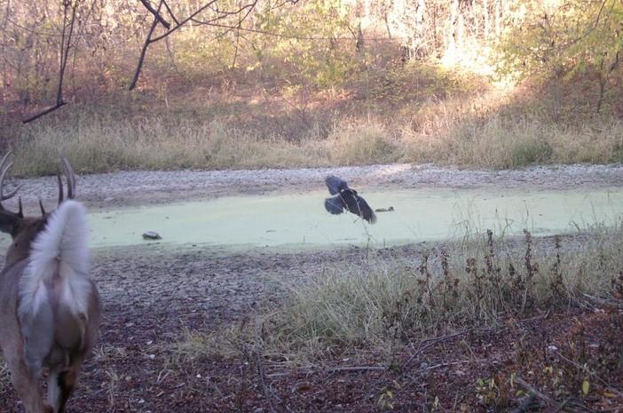 0 Hatchell Road Tonganoxie, KS 66086 - Photo 17 of 32