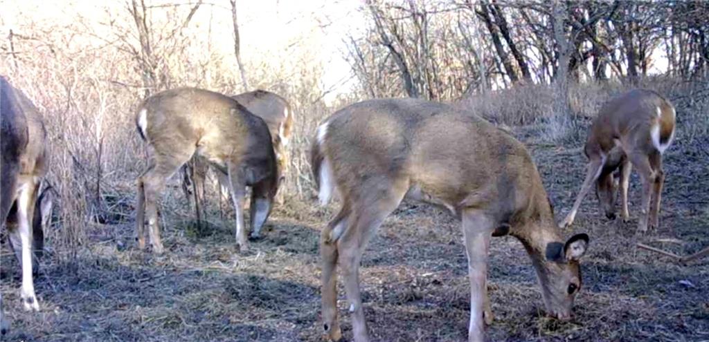 0 Hatchell Road Tonganoxie, KS 66086 - Photo 18 of 32