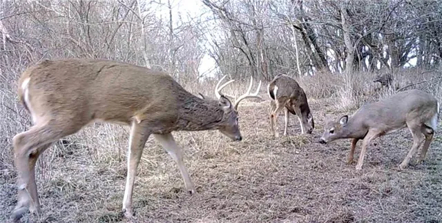 $249,950 | 0 Hatchell Road, Tonganoxie, KS 66086