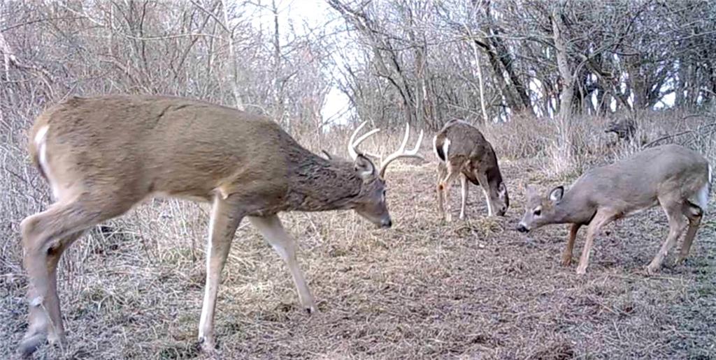0 Hatchell Road Tonganoxie, KS 66086 - Photo 19 of 32