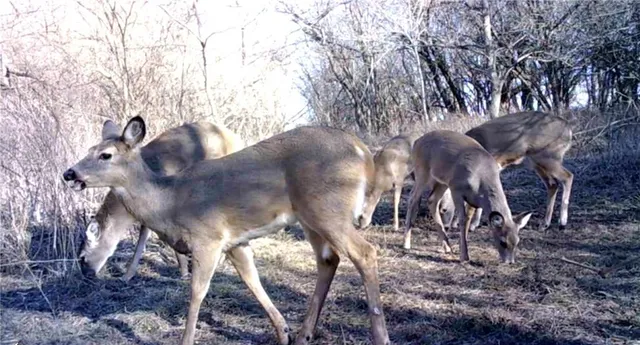 $249,950 | 0 Hatchell Road, Tonganoxie, KS 66086