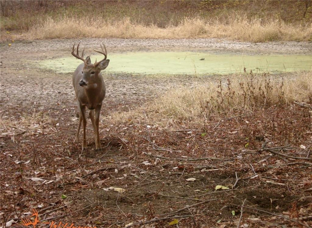 0 Hatchell Road Tonganoxie, KS 66086 - Photo 21 of 32