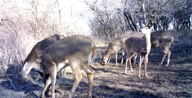 $249,950 | 0 Hatchell Road, Tonganoxie, KS 66086