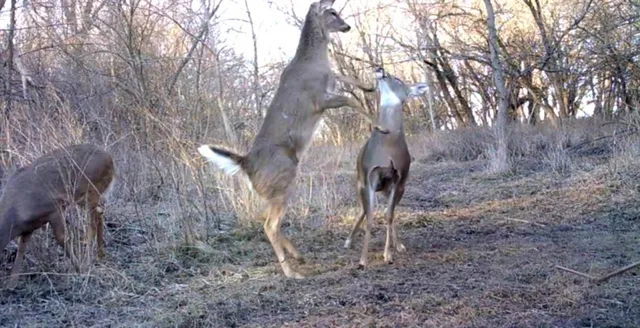 $249,950 | 0 Hatchell Road, Tonganoxie, KS 66086