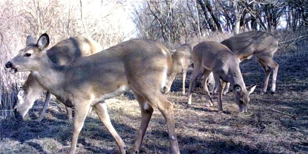 0 Hatchell Road Tonganoxie, KS 66086 - Photo 26 of 32