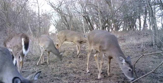 $249,950 | 0 Hatchell Road, Tonganoxie, KS 66086