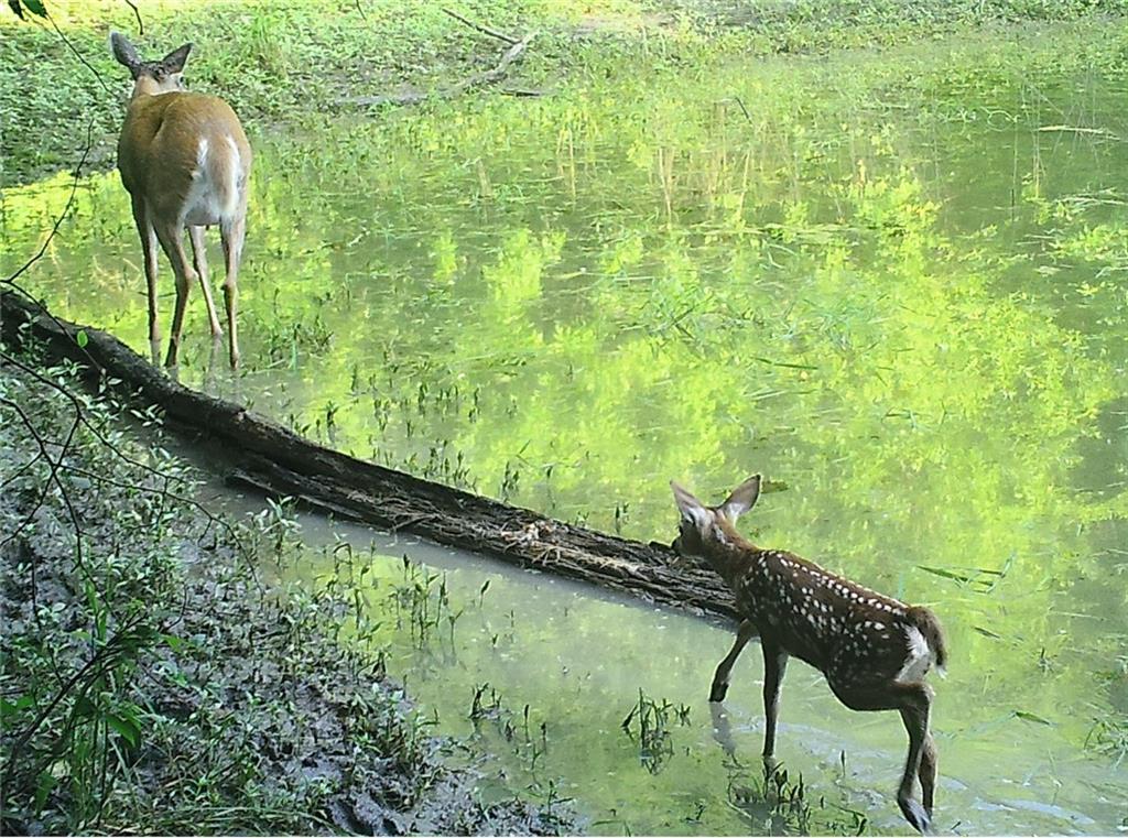 0 Hatchell Road Tonganoxie, KS 66086 - Photo 29 of 32