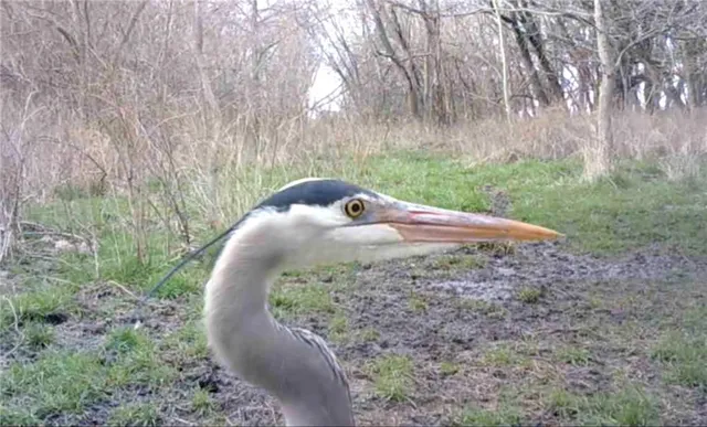 $249,950 | 0 Hatchell Road, Tonganoxie, KS 66086