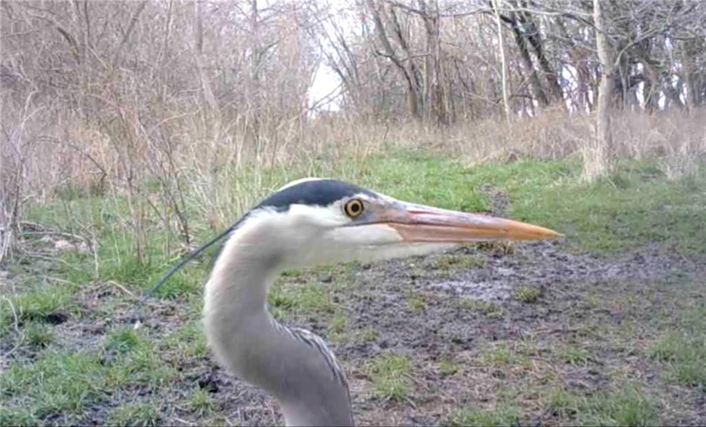 0 Hatchell Road Tonganoxie, KS 66086 - Photo 8 of 32