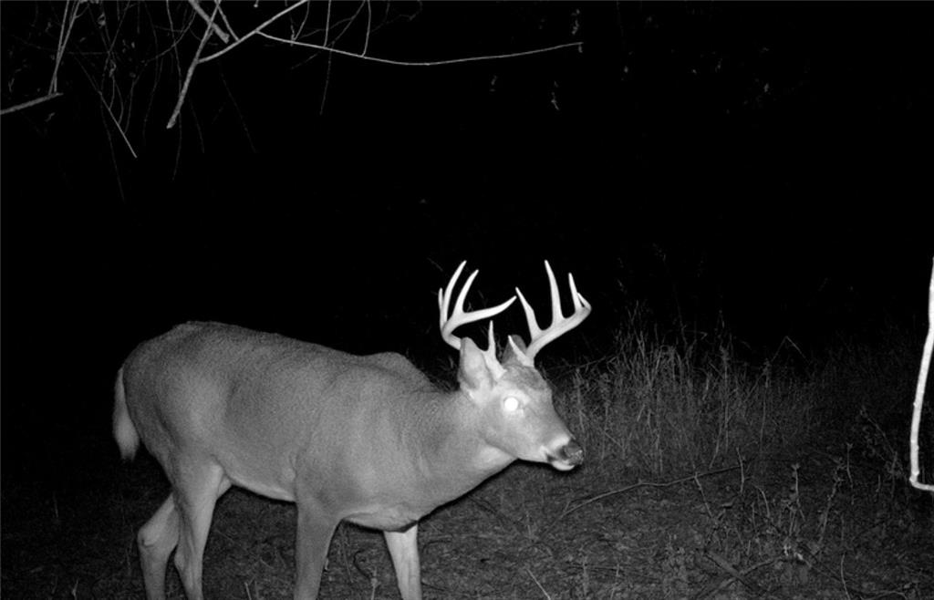 0 Hatchell Road Tonganoxie, KS 66086 - Photo 9 of 32