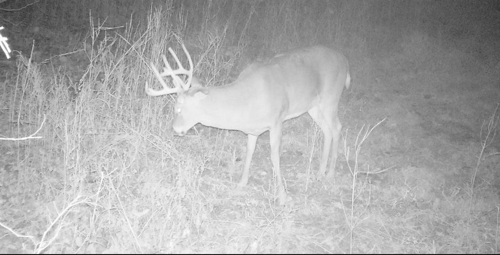 0 Hatchell Road Tonganoxie, KS 66086 - Photo 10 of 32