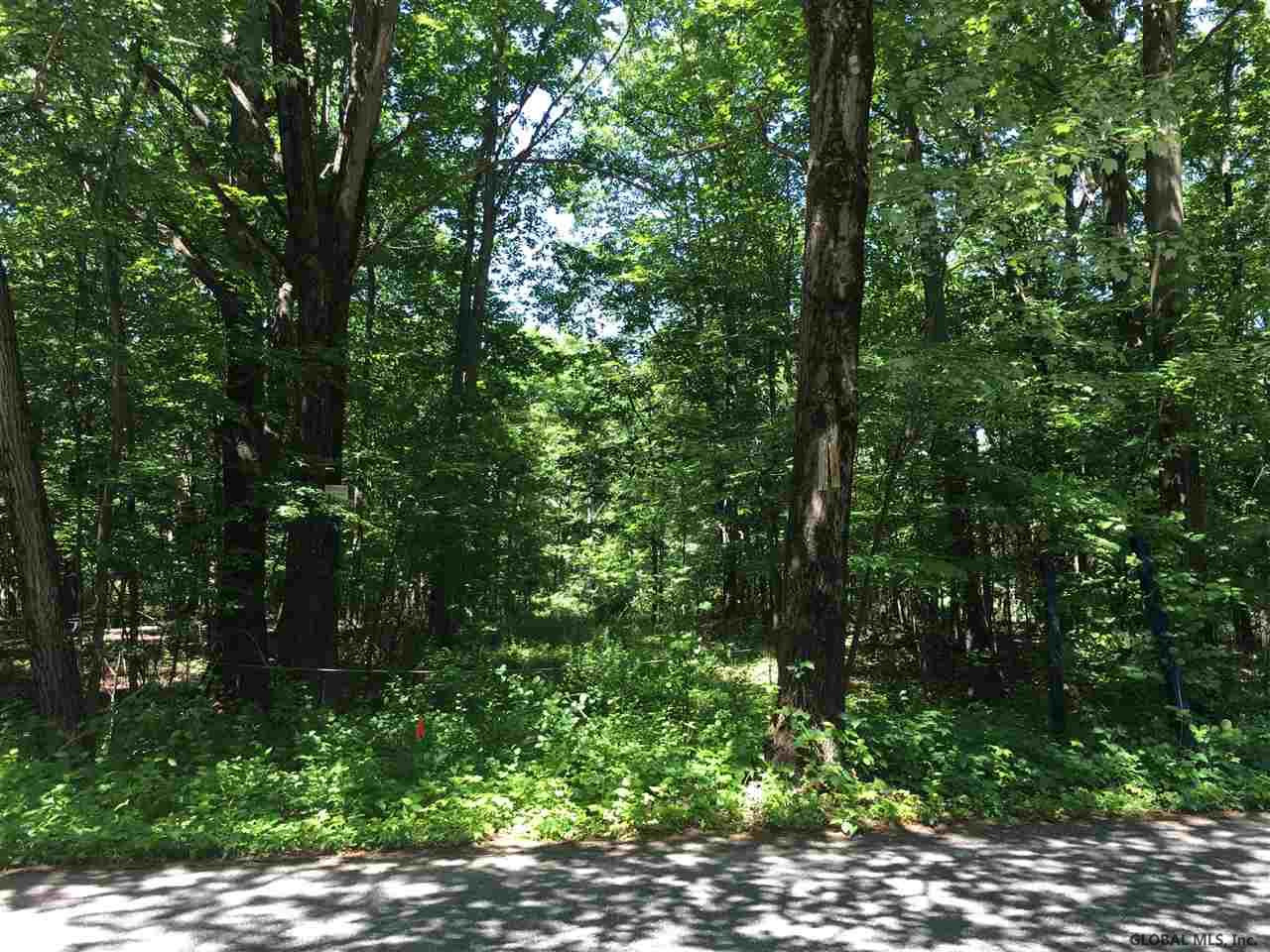 0 Liberty Road Troy, NY 12182 - Photo 4 of 4 Photo 4