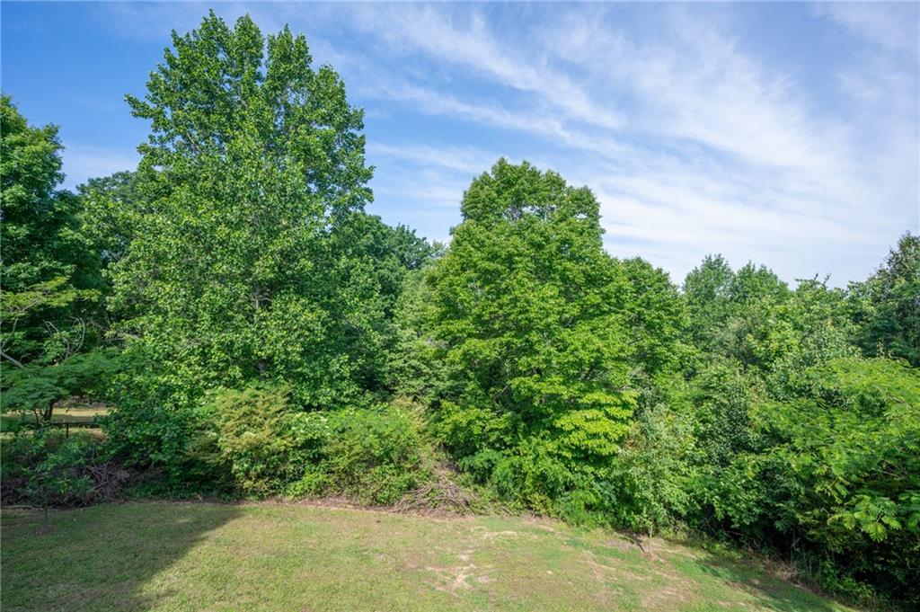 240 Orchard Way Southeast Calhoun, GA 30701 - Photo 31 of 38 a view of a garden
