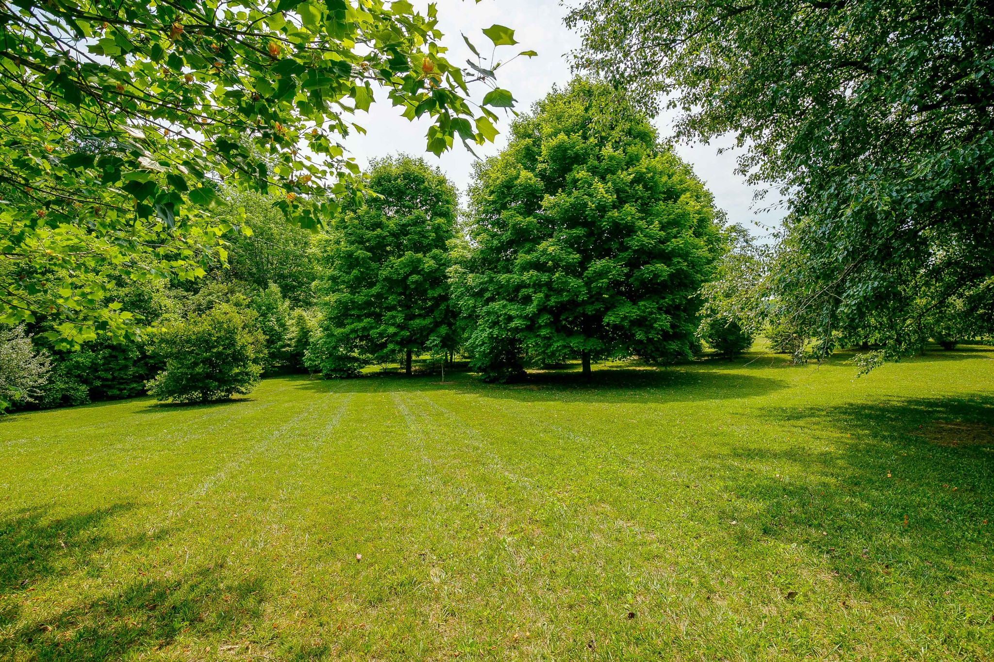 6865 South Osborne Road Greenbrier, TN 37073 - Photo 4 of 49 Gallery Image 4