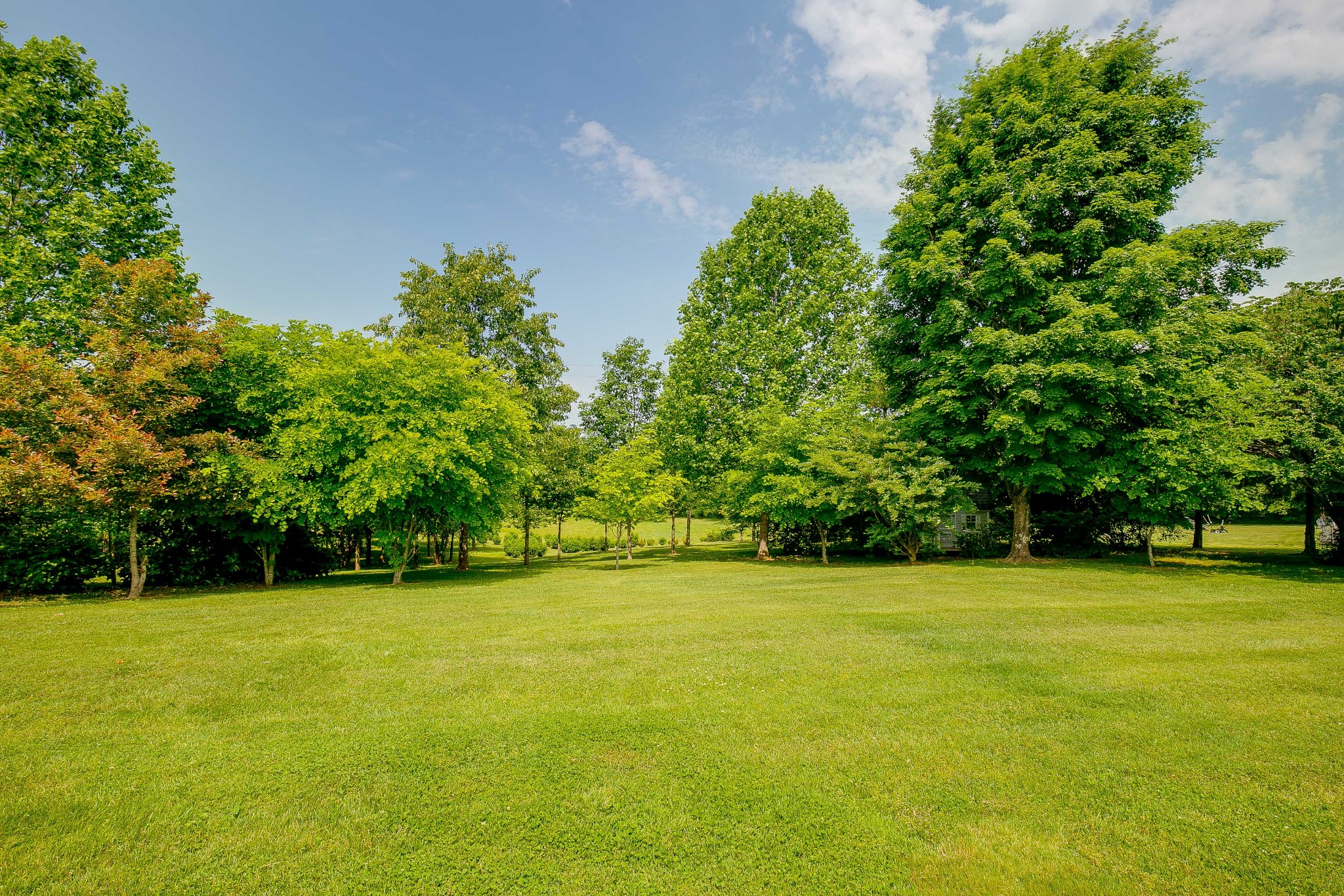 6865 South Osborne Road Greenbrier, TN 37073 - Photo 32 of 49 Gallery Image 32