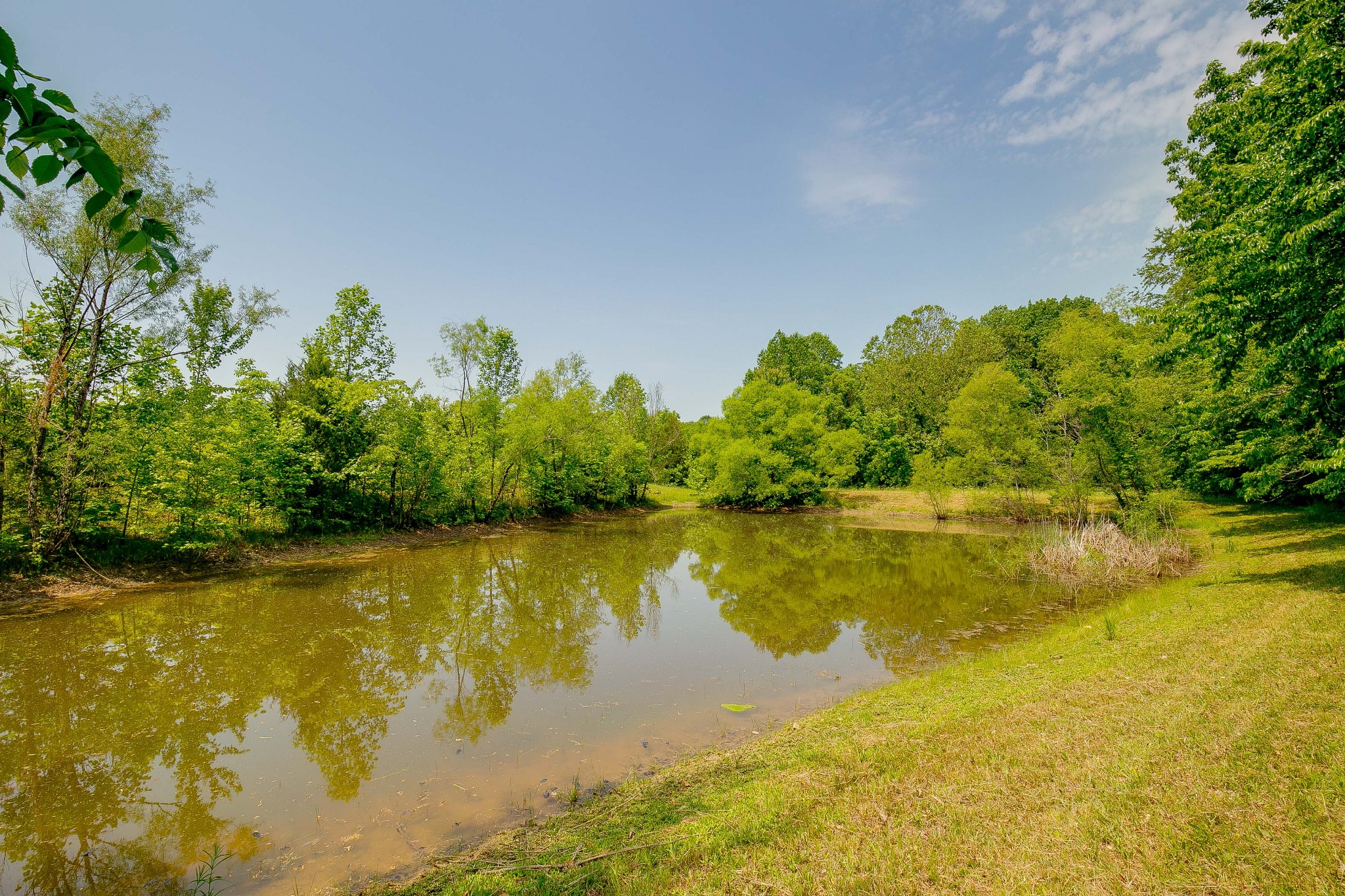 6865 South Osborne Road Greenbrier, TN 37073 - Photo 39 of 49 Gallery Image 39