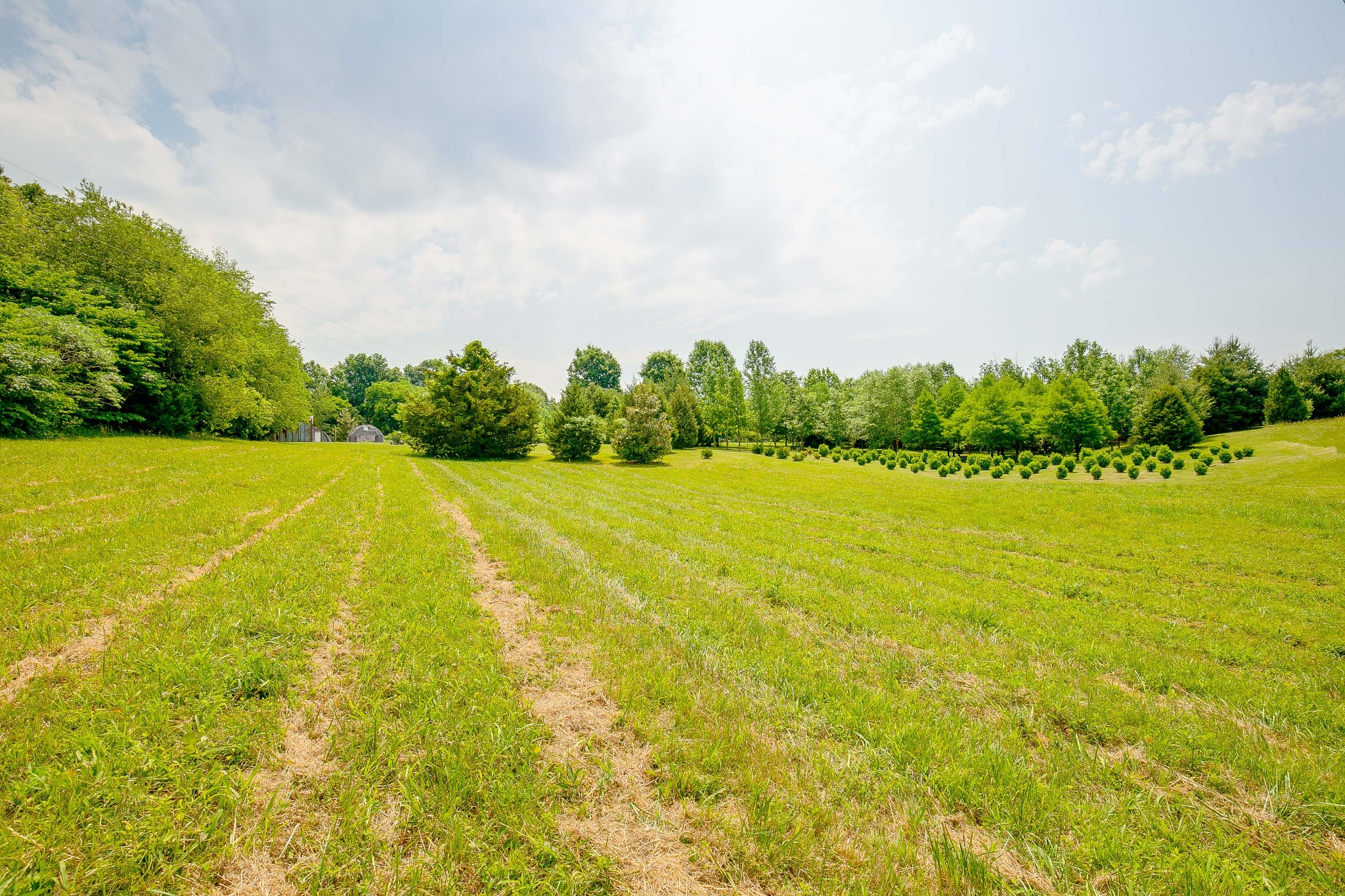 6865 South Osborne Road Greenbrier, TN 37073 - Photo 40 of 49 Gallery Image 40