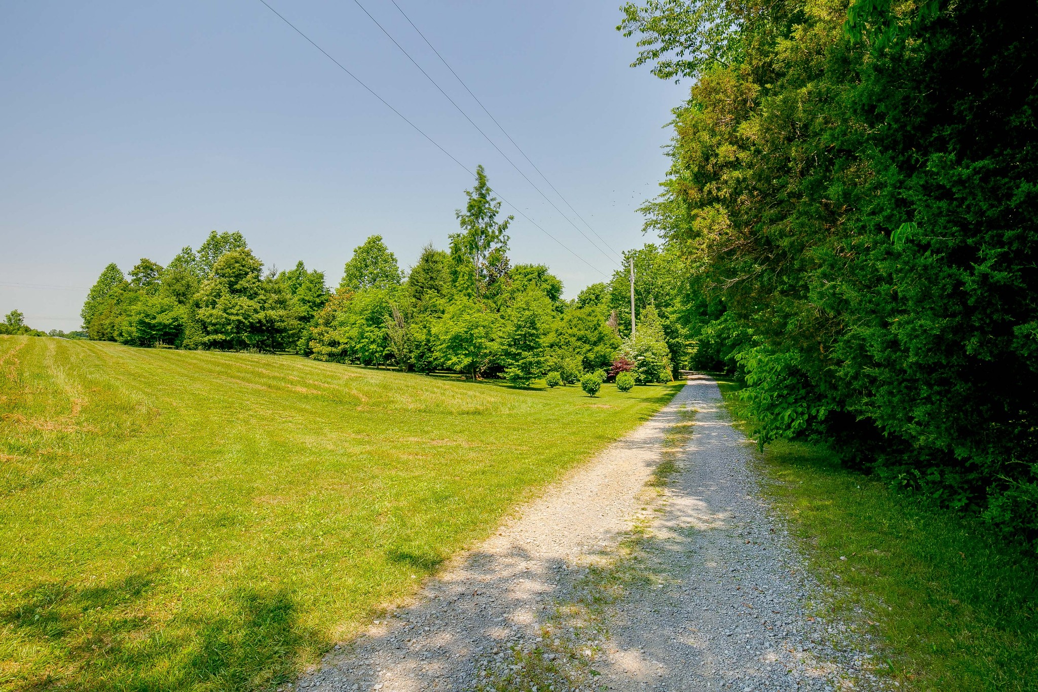 6865 South Osborne Road Greenbrier, TN 37073 - Photo 44 of 49 Gallery Image 44