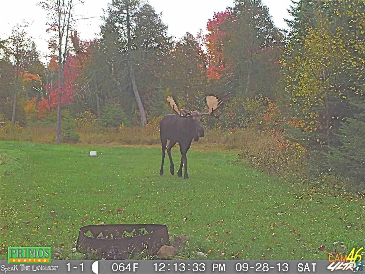 1189 Pike Lake Road Grand Marais, MN 55604 - Photo 32 of 32 Gallery Image 32
