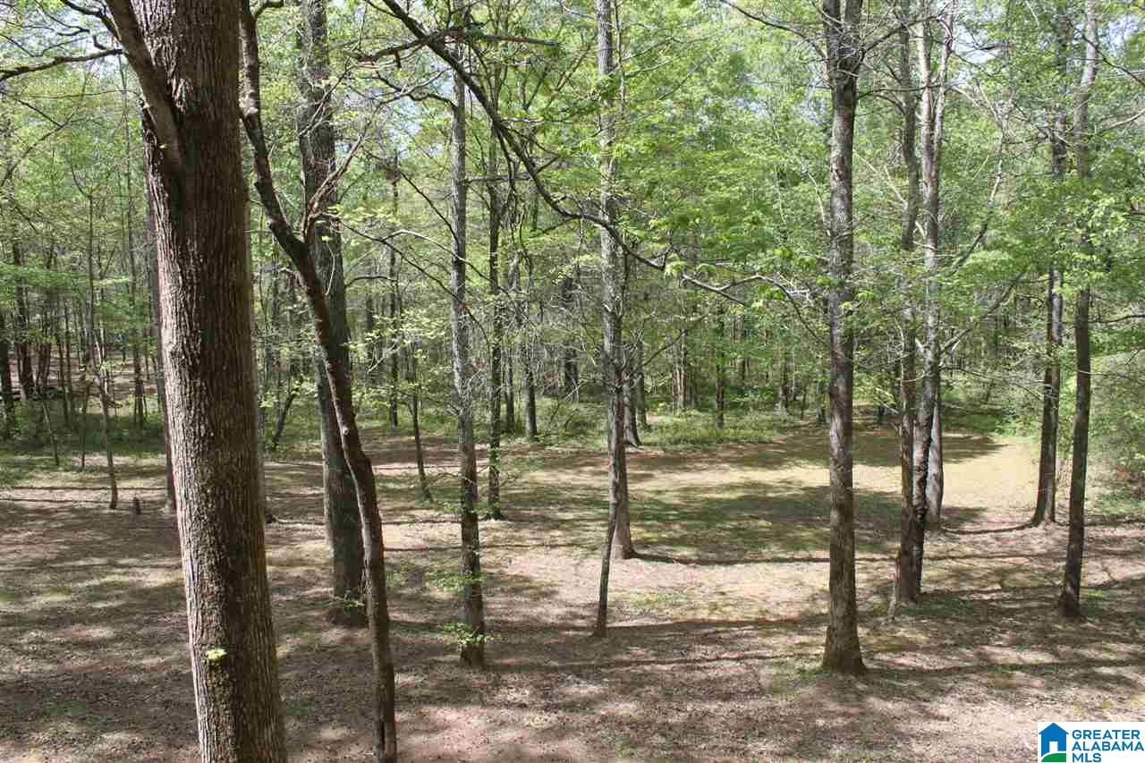 6906 Mcfrancis Road Trussville, AL 35173 - Photo 17 of 22