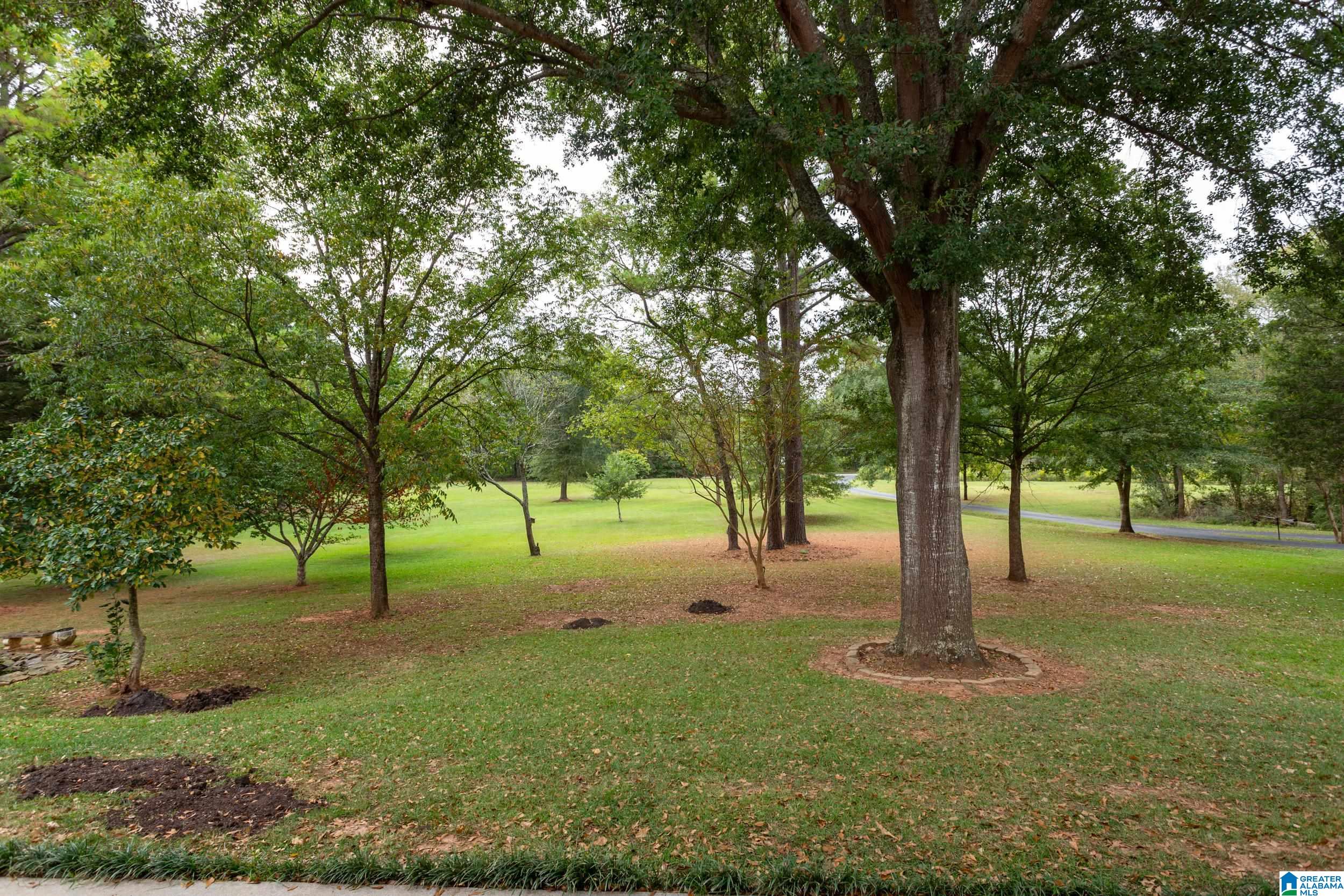 1150 Rochester Road Southeast Jacksonville, AL 36265 - Photo 35 of 36