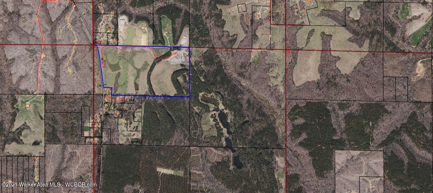 Bennett Road Jasper, AL 35503 - Photo 1 of 1 Gallery Image 1