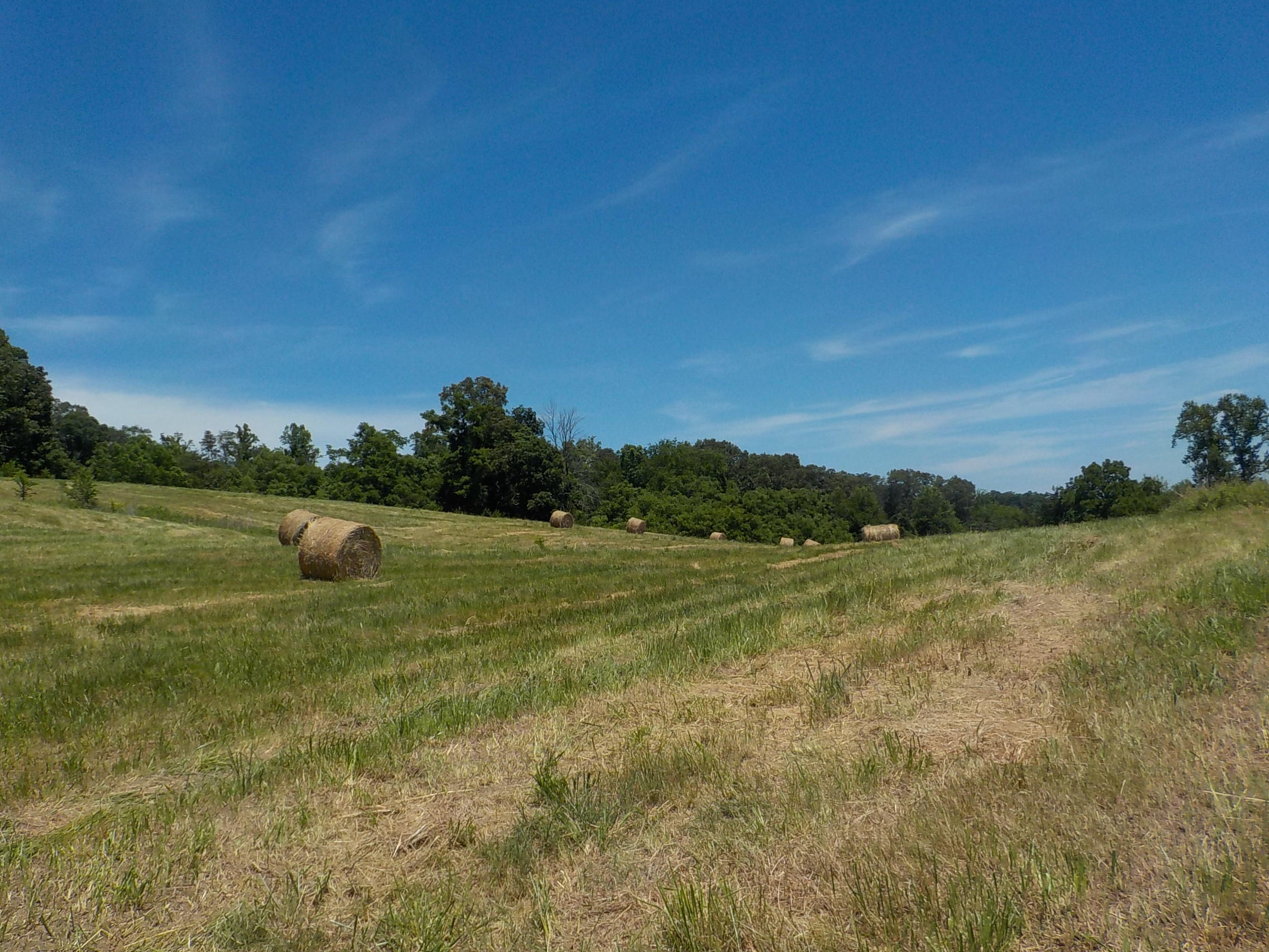 Lot 12 Indian Ridge Road Blaine, TN 37709 - Photo 14 of 14 014