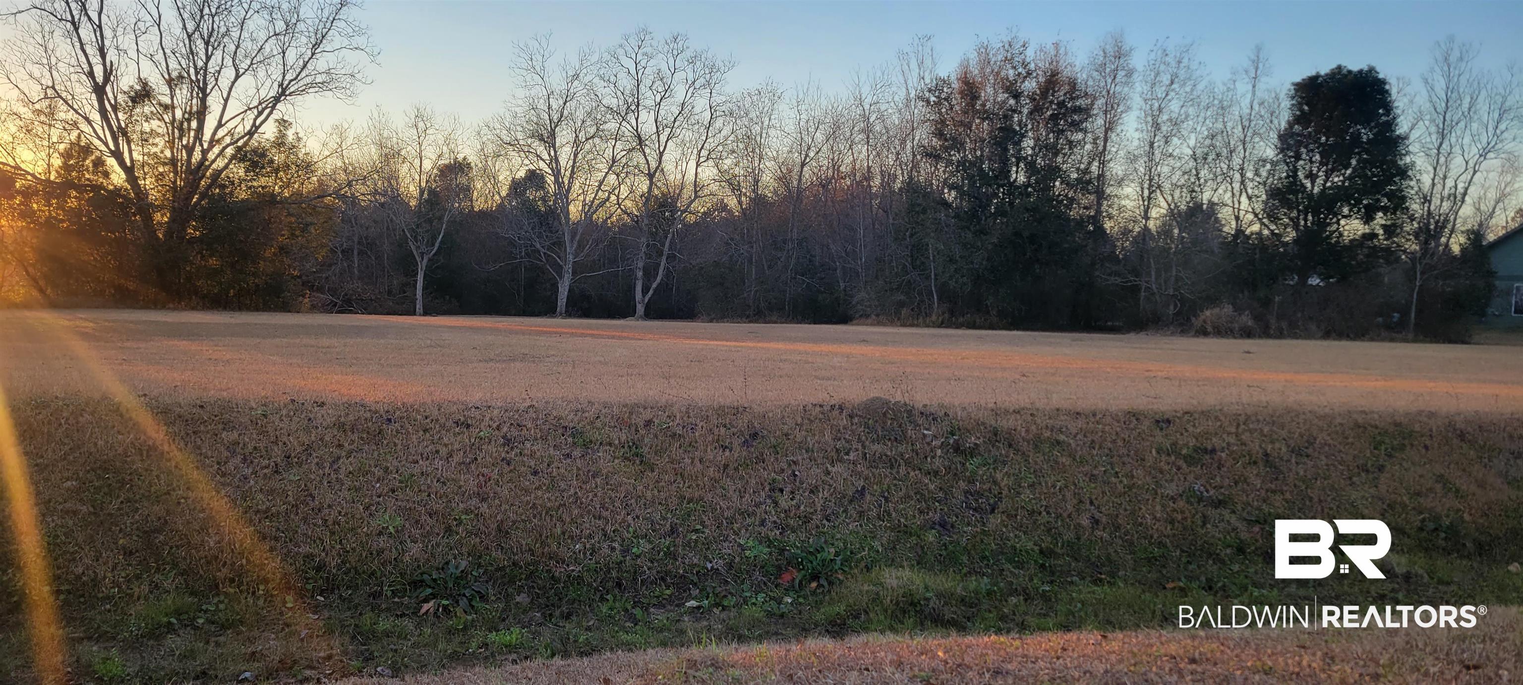 0 Diffee Road Grand Bay, AL 36541 - Photo 2 of 5