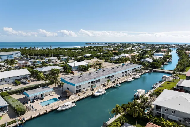 an aerial view of residential building and lake