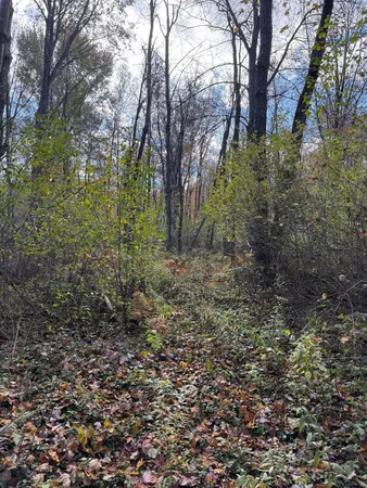 $140,000 | Holt, Holt, MI 48842