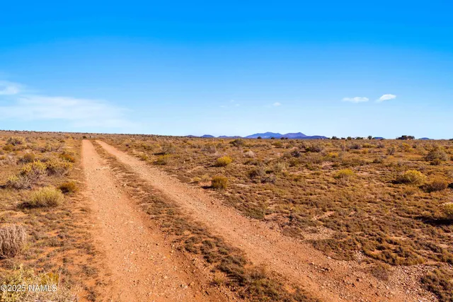 a view of beach and ocean