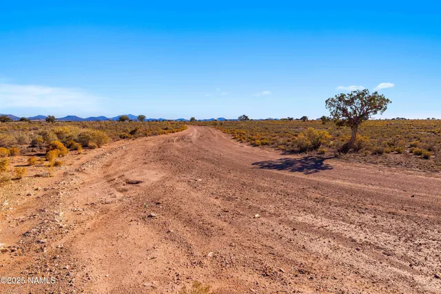 a view of a city and mountains in the background