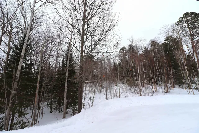 $489,900 | 22715 Ash Street, Cornucopia, WI 54827