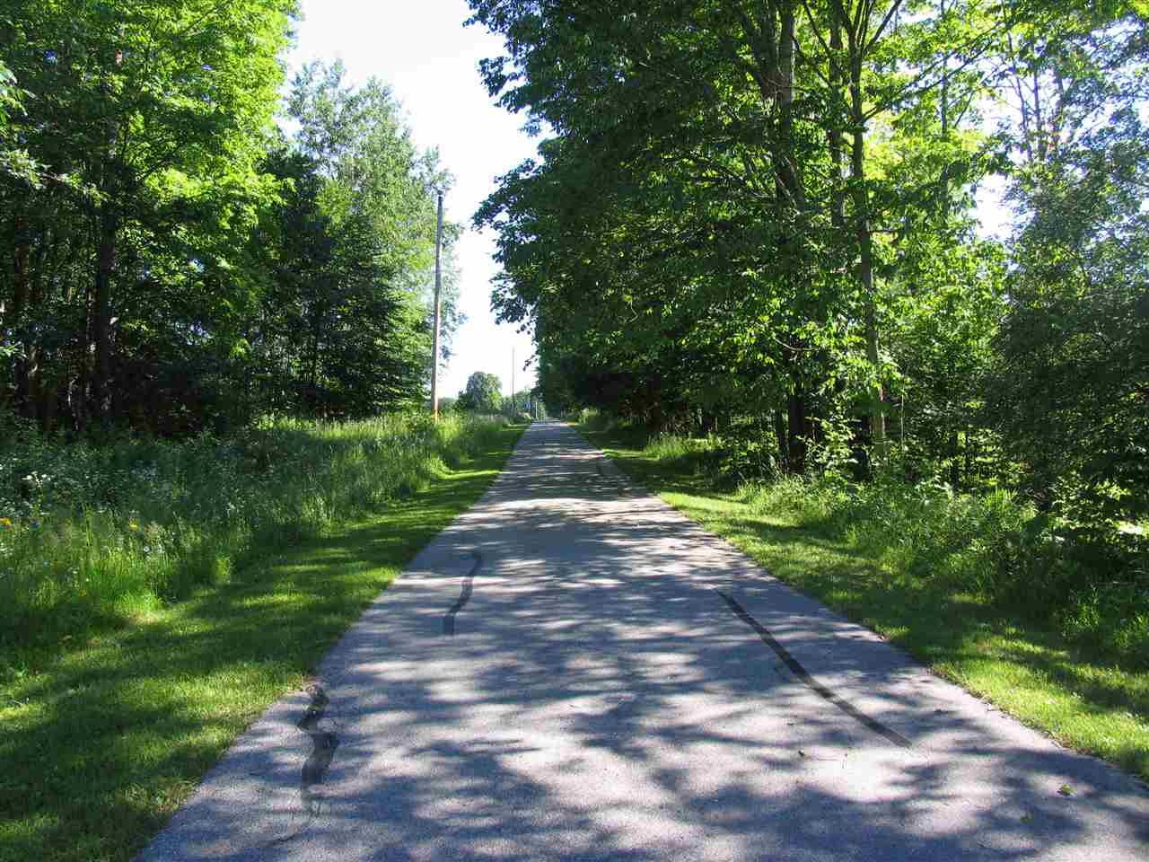 828 10 Curves Road Germfask, MI 49836 - Photo 5 of 30 1838345-4.JPG