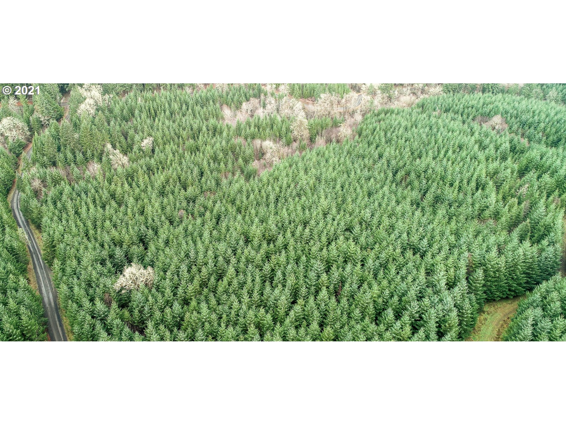 Hall Road, Unit TL805 Cheshire, OR 97419 - Photo 11 of 18 Gallery Image 11