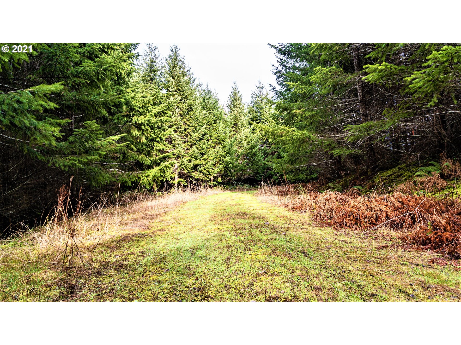 Hall Road, Unit TL805 Cheshire, OR 97419 - Photo 12 of 18 Gallery Image 12