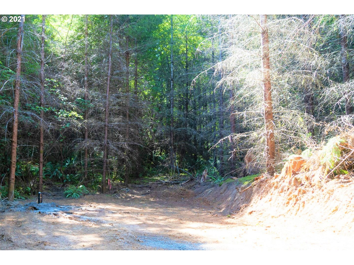 Hall Road, Unit TL805 Cheshire, OR 97419 - Photo 14 of 18 Gallery Image 14