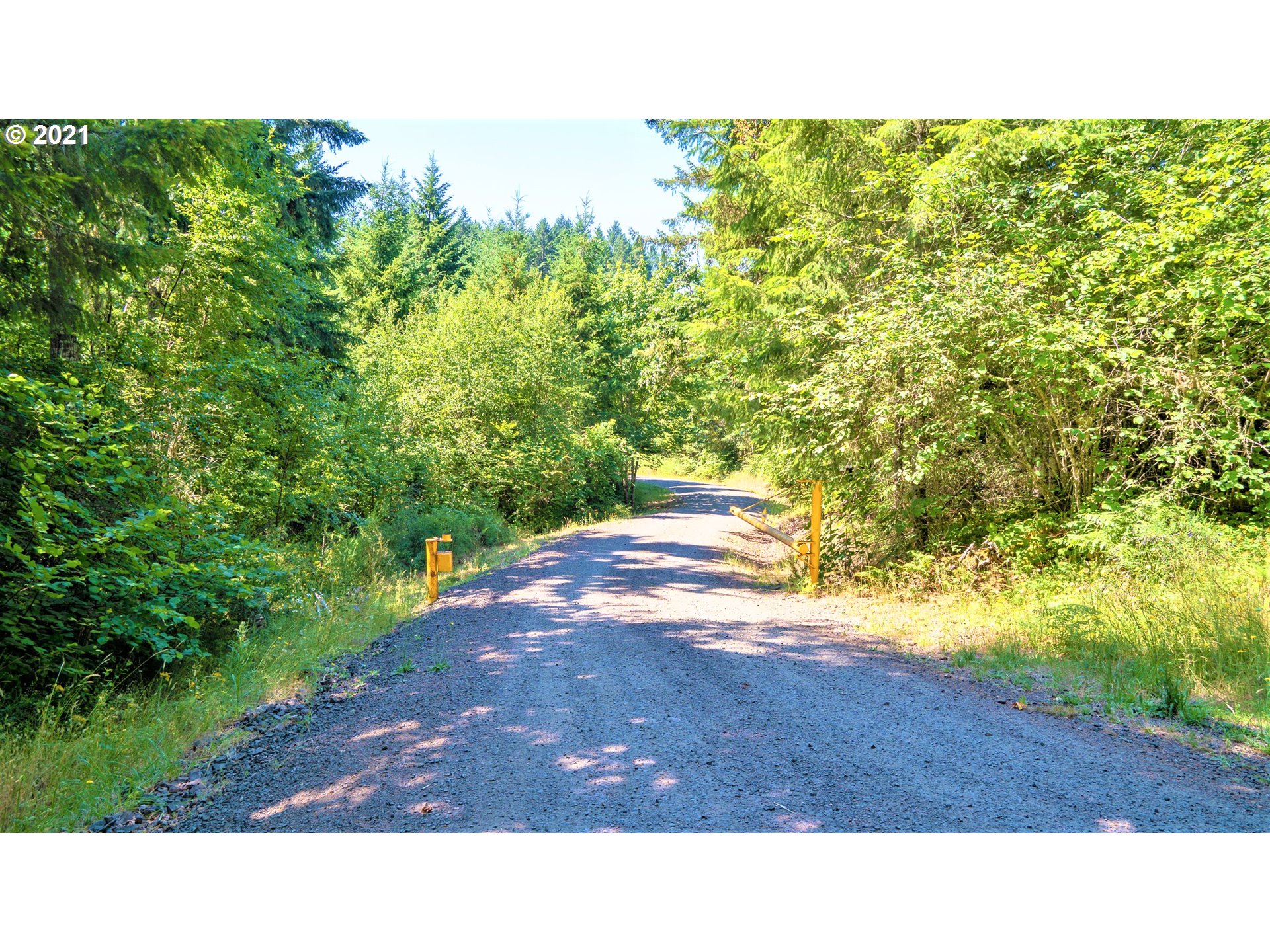 Hall Road, Unit TL805 Cheshire, OR 97419 - Photo 18 of 18 Gallery Image 18