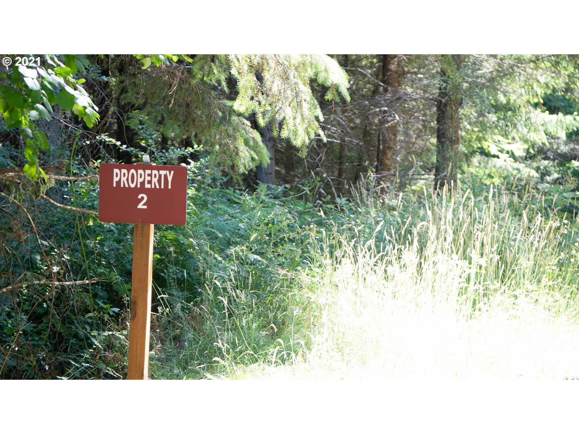 Hall Road, Unit TL805 Cheshire, OR 97419 - Photo 4 of 18 Gallery Image 4