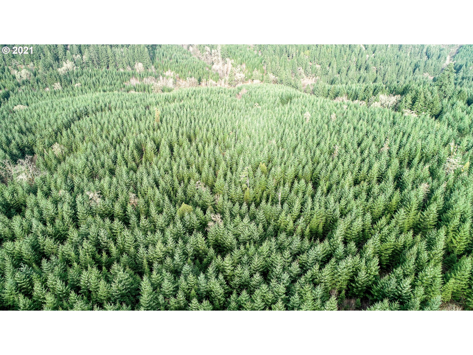 Hall Road, Unit TL805 Cheshire, OR 97419 - Photo 7 of 18 Gallery Image 7