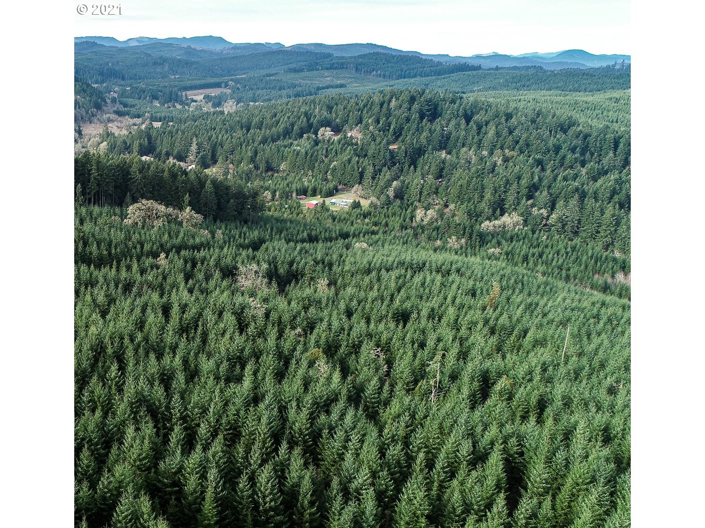 Hall Road, Unit TL805 Cheshire, OR 97419 - Photo 8 of 18 Gallery Image 8
