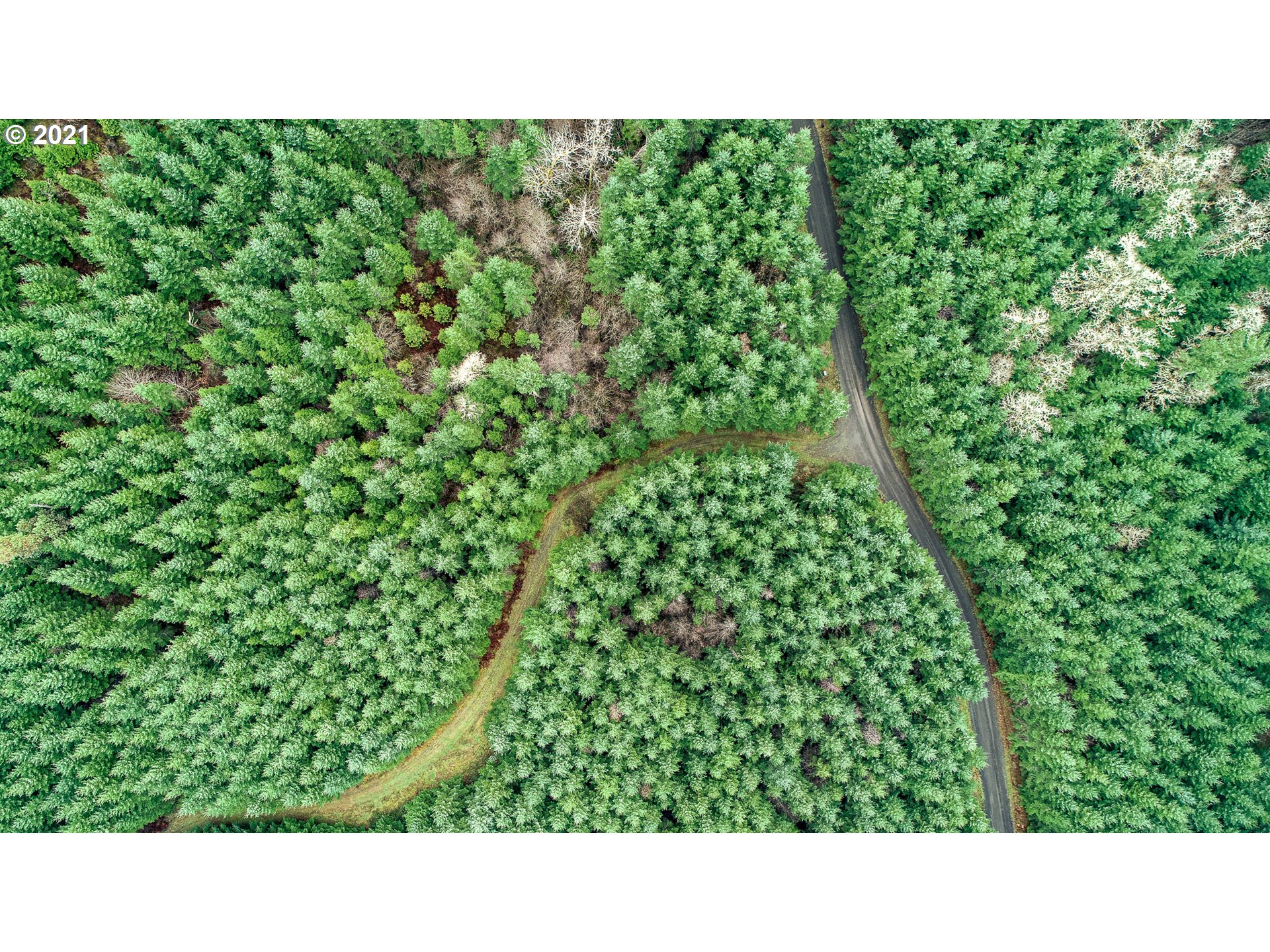Hall Road, Unit TL805 Cheshire, OR 97419 - Photo 9 of 18 Gallery Image 9