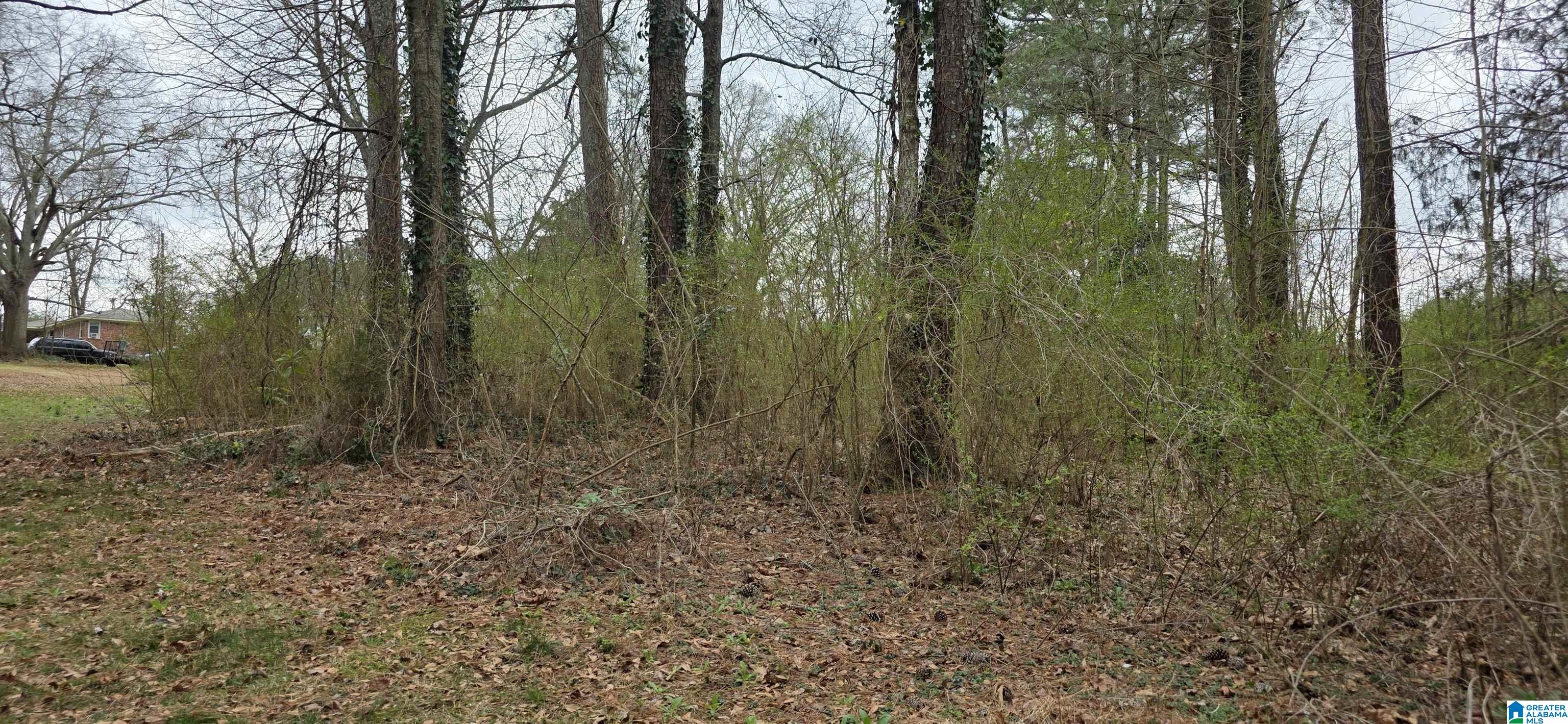 Lot 7 Goehler Road, Unit 7B Cullman, AL 35055 - Photo 1 of 5