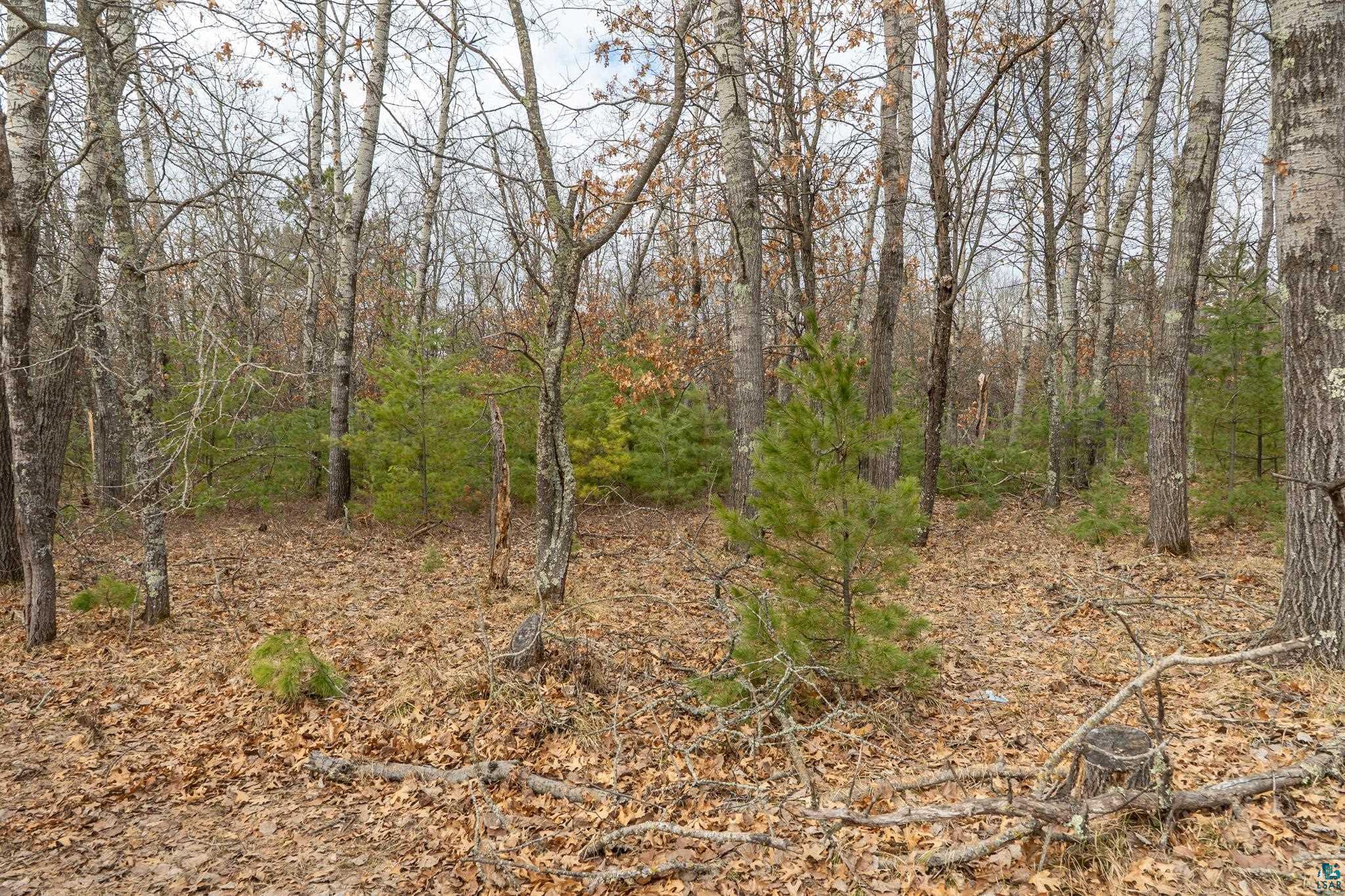 Lot 2 South Madison Avenue Gordon, WI 54838 - Photo 6 of 8