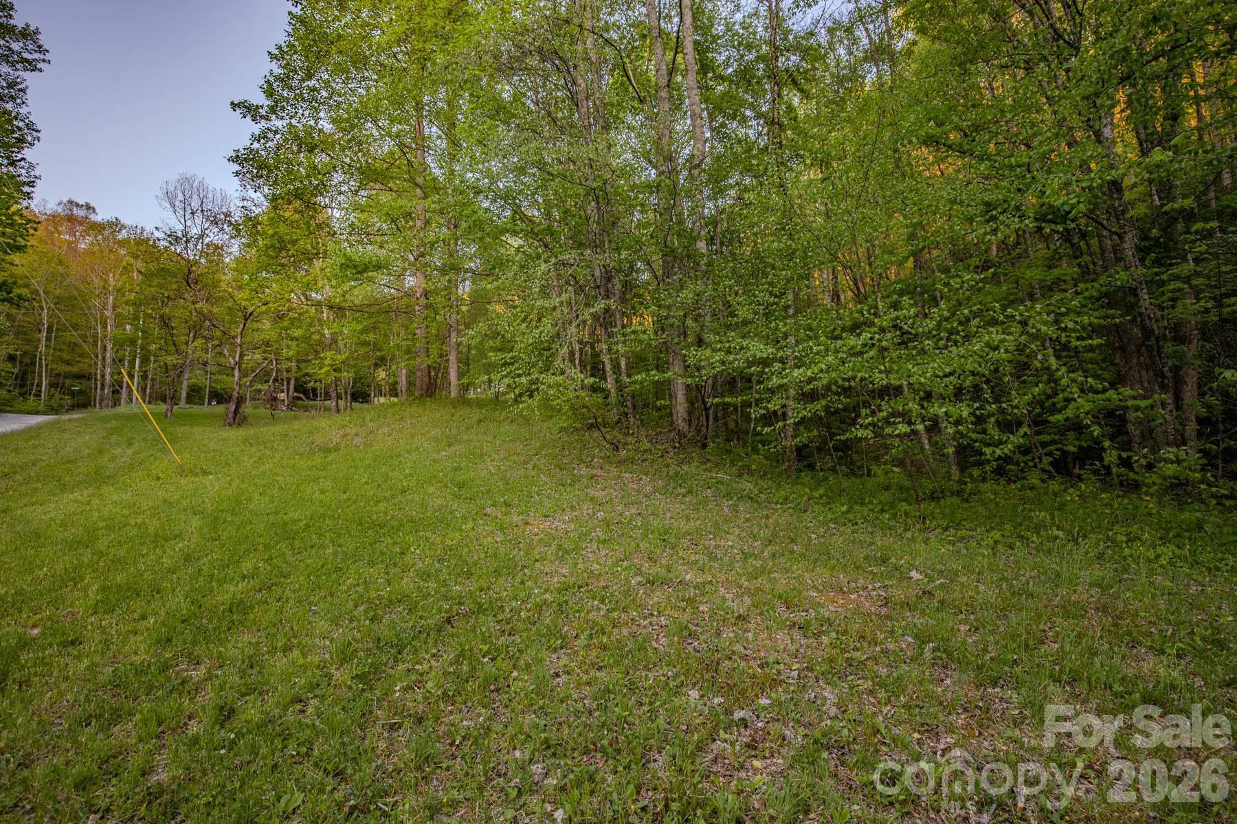 0 Unahala Creek Road Bryson City, NC 28713 - Photo 12 of 14