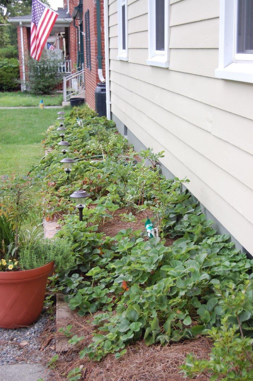 2445 Livingston Road Southwest Roanoke, VA 24015 - Photo 28 of 30 DSC_3452