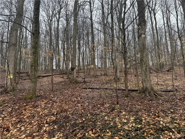 $9,000 | Nob Road, Utica, NY 13501