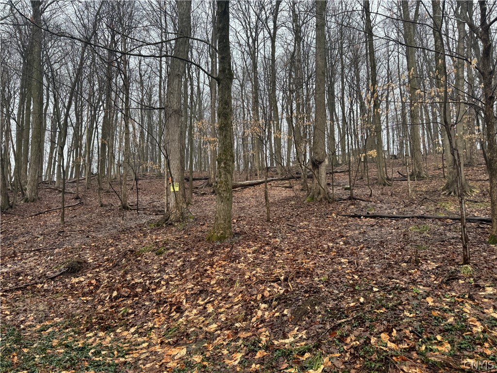 Nob Road Utica, NY 13501 - Photo 2 of 8