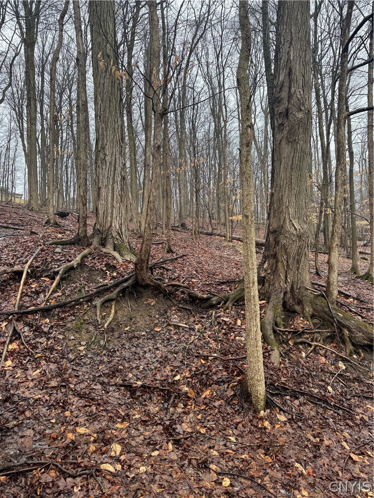 Nob Road Utica, NY 13501 - Photo 3 of 8