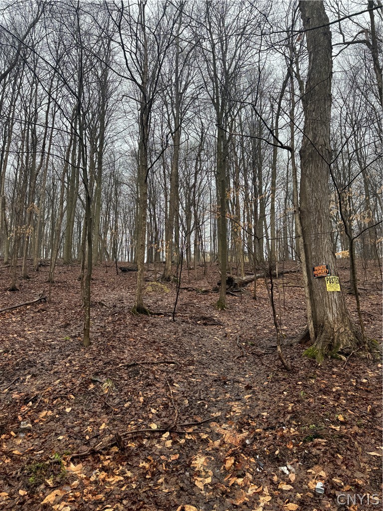 Nob Road Utica, NY 13501 - Photo 4 of 8